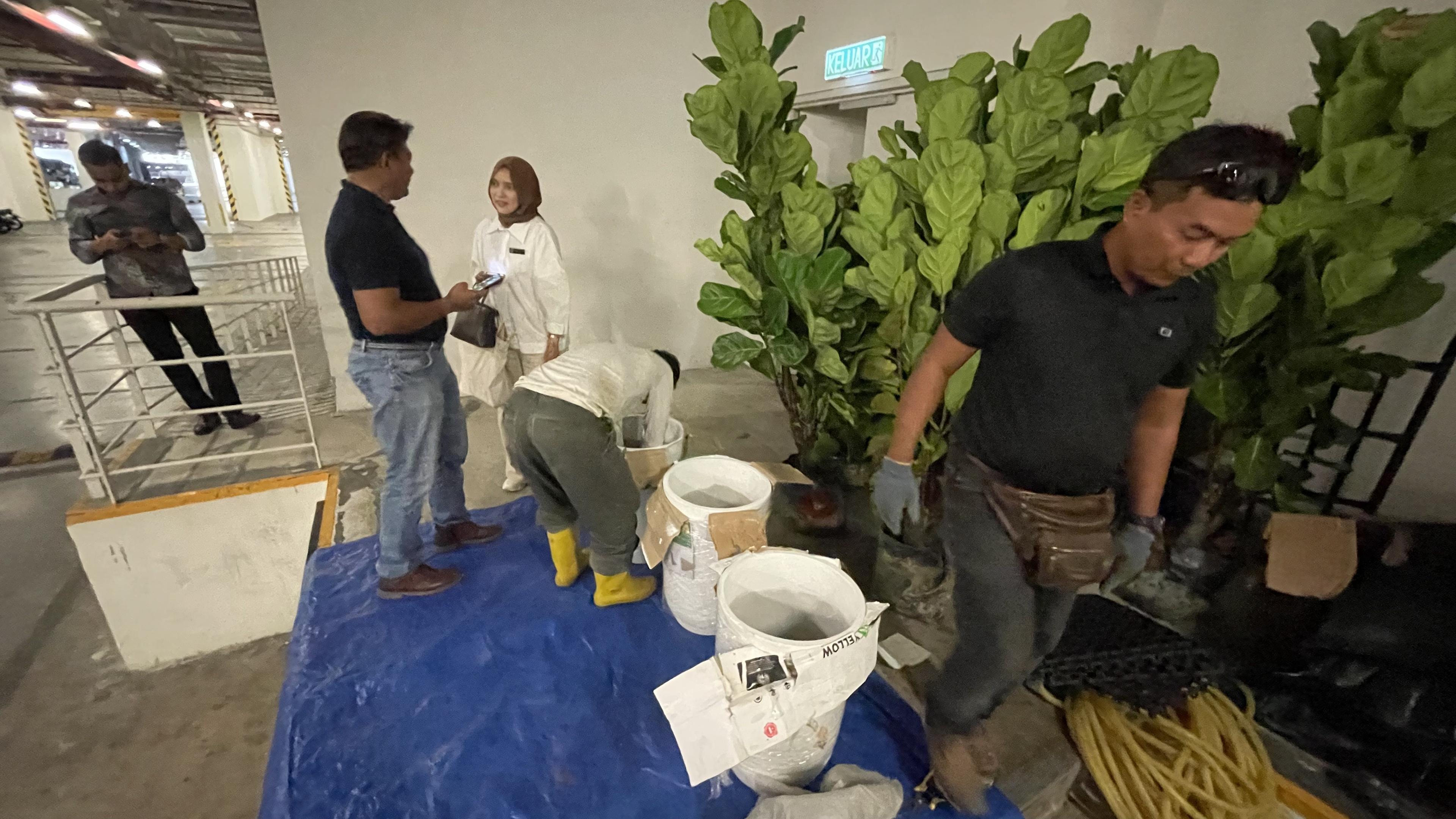 RimbaScape team preparing planters for an office plantscape installation
