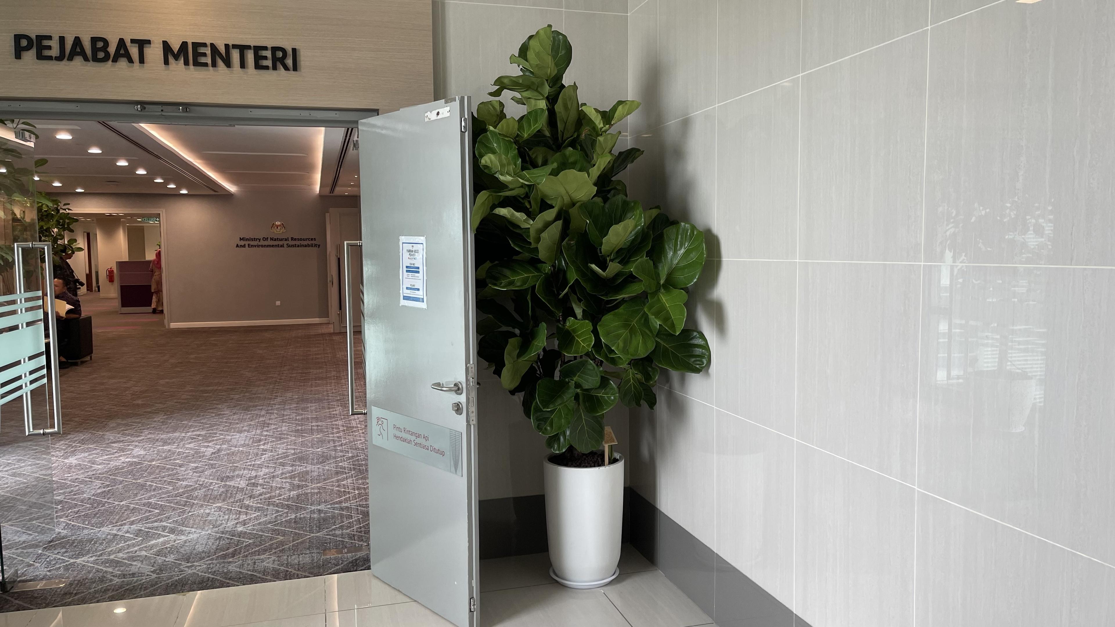 Office Plant Styling