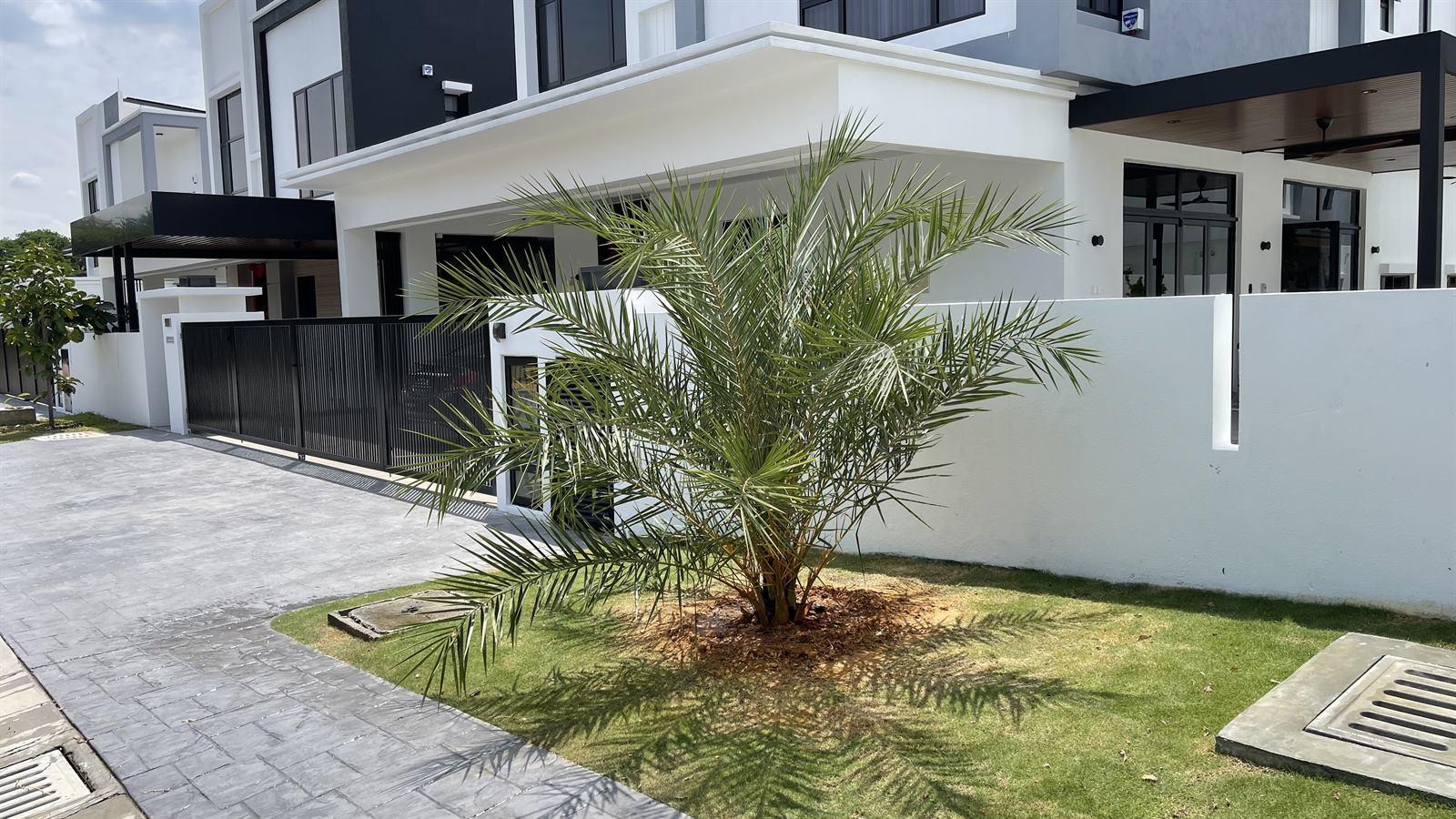 Palm Front Yard Upgrade