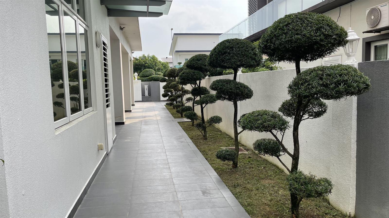Premium Tree / Topiary Maintenance