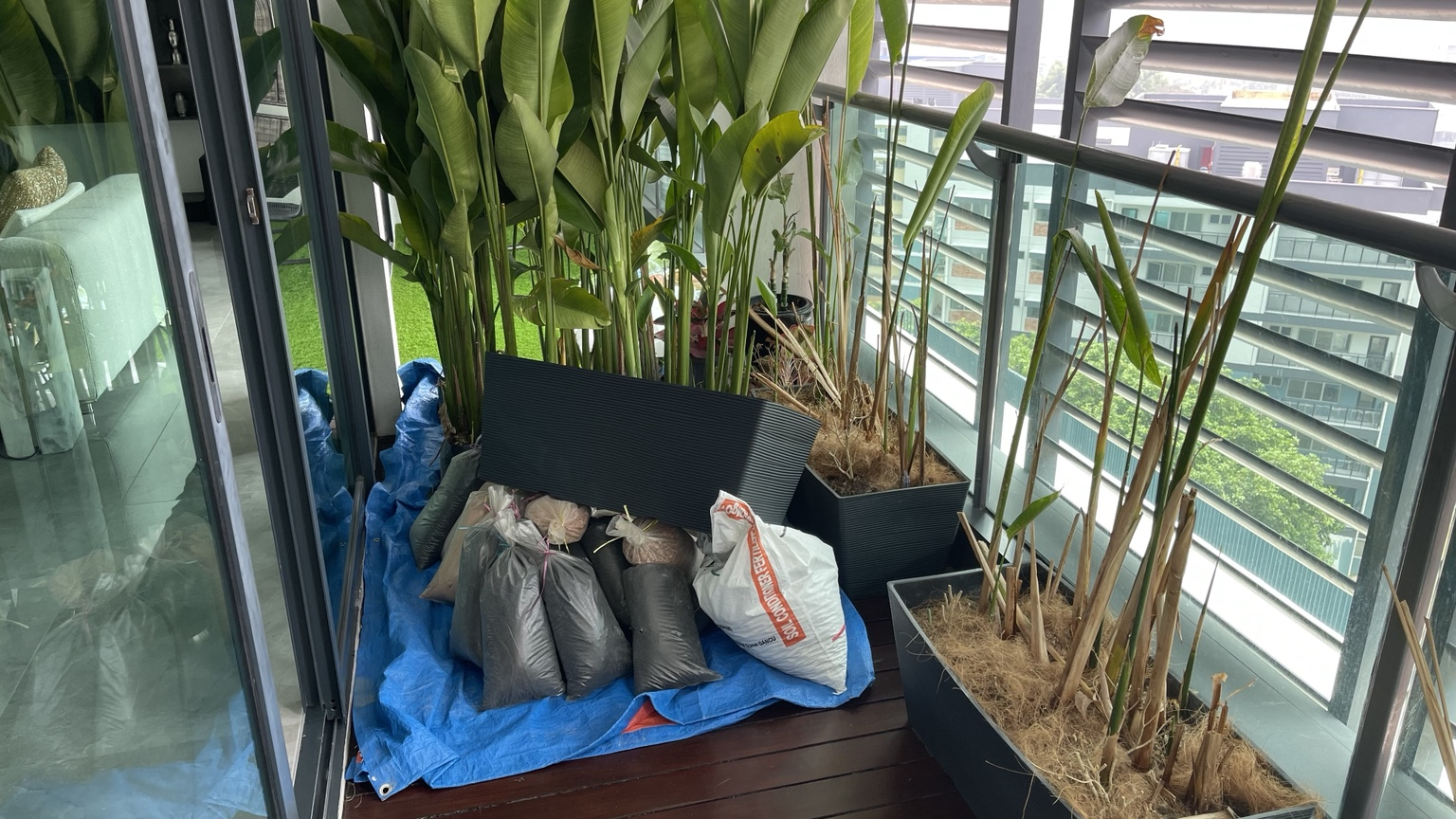 Transforming a Balcony into a Lush Green Retreat — Before installation — Bangsar