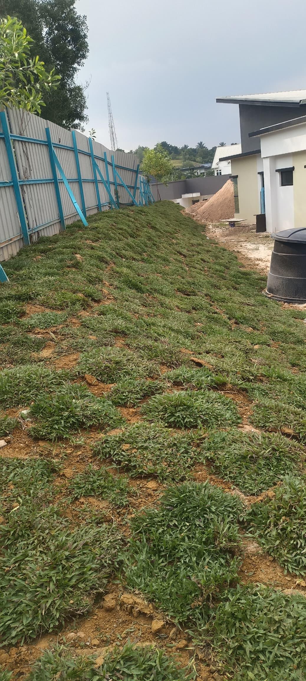 Bangi Golf Club Lawn Installation