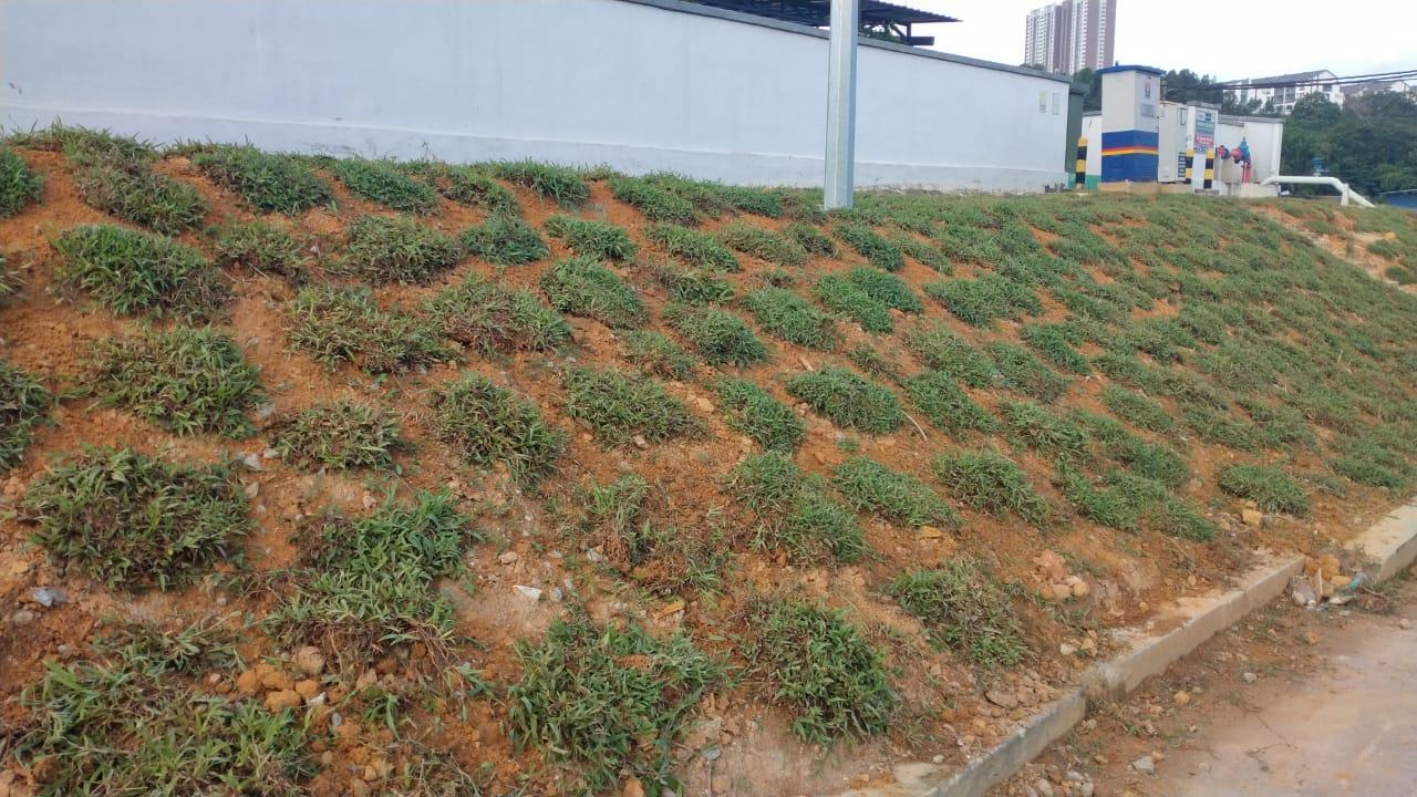 Industrial Cowgrass Installation — After installation — Dengkil